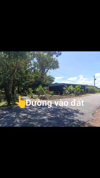 Đất nền Ninh Điền Châu Thành 200m² giá thỏa thuận - Cách đường nhựa chỉ 100m!