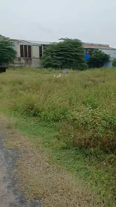 Đất 3 mặt tiền Củ Chi 2159m² giá 15 tỷ - Cắt lỗ thật 5 tỷ