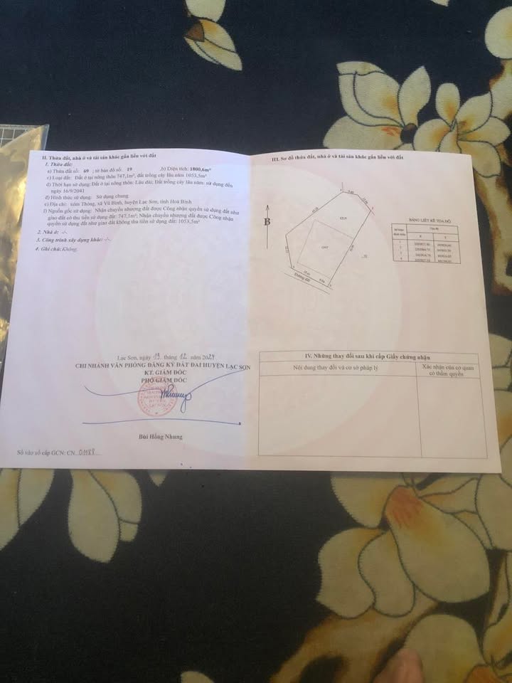 Đất nền Vũ Bình, Lạc Sơn, Hòa Bình 1800m² - Cơ hội đầu tư tuyệt vời!