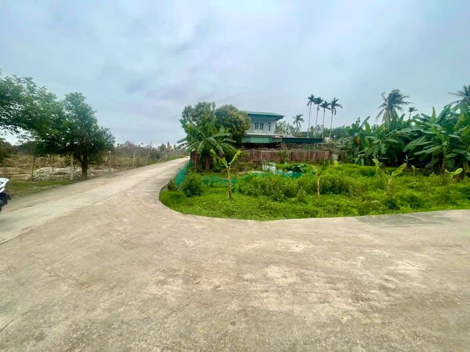 Đất nền 2 mặt đường Thanh Lang, Thanh Hà 100m² - Đường to rộng, giao thông thuận lợi!