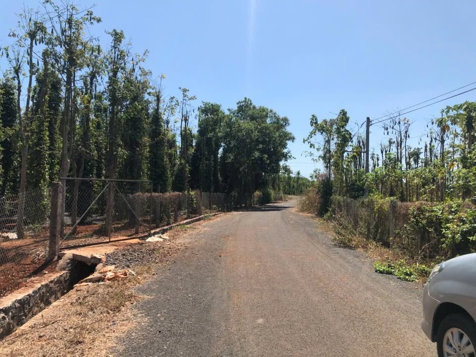 Đất Bàu Lâm Xuyên Mộc 2500m² - Chính chủ bán, sổ hồng riêng!