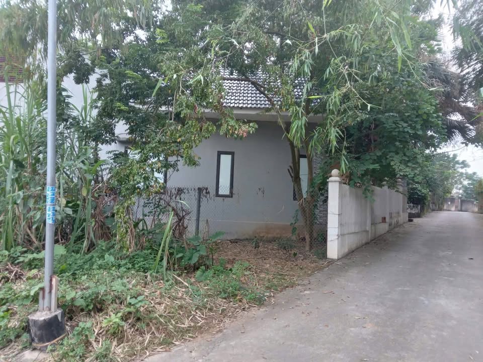 Đất nền 2 mặt tiền Phường Nông Trang, TP Việt Trì 73,4m² - Vị trí đẹp, đầu tư lý tưởng!