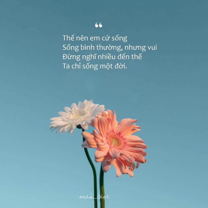 Đất nền chính chủ Nghi Đức 186,8m² giá chỉ 4.68 tỷ - Đường rộng thông thoáng!