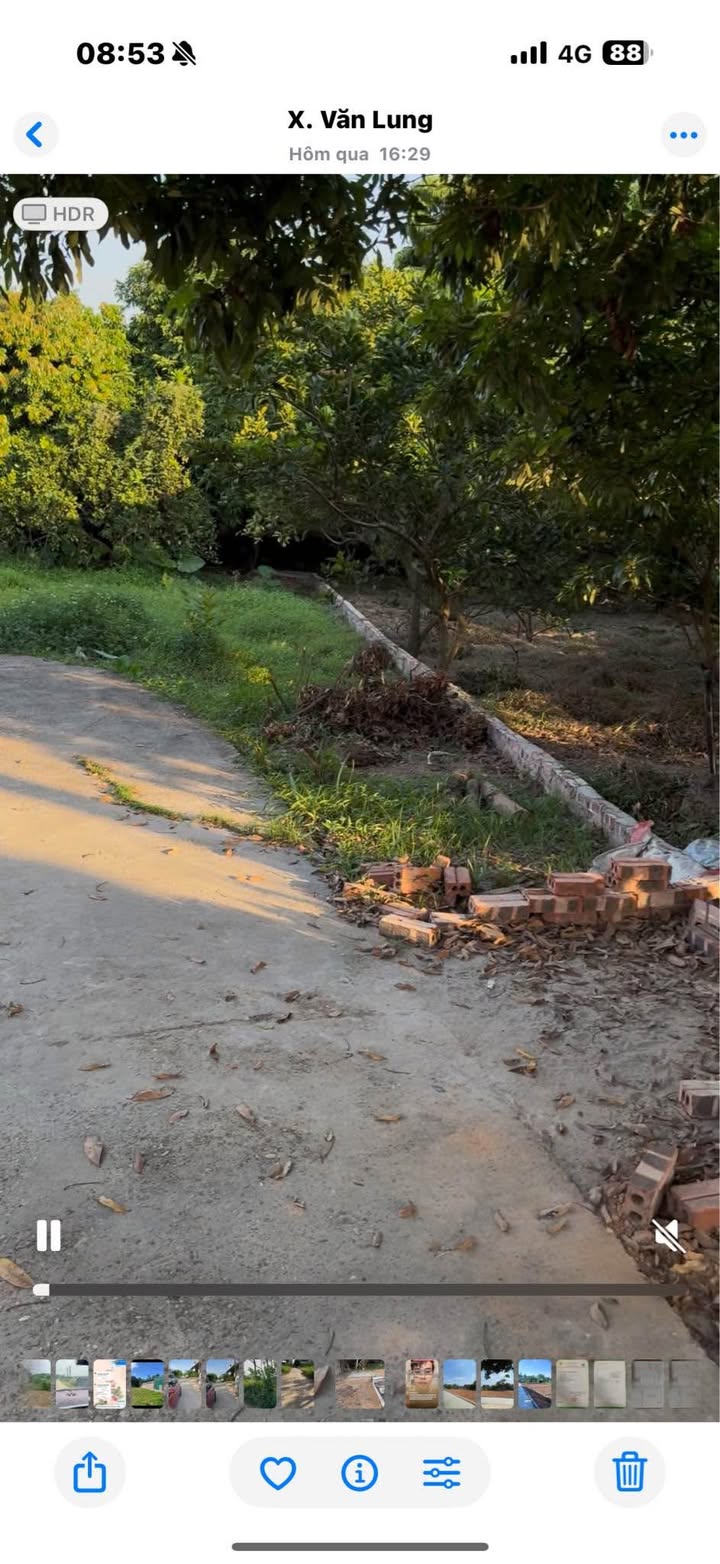 Đất thổ cư Văn Lung, Phú Thọ 212m² giá 900 triệu - Tiềm năng đầu tư lớn!