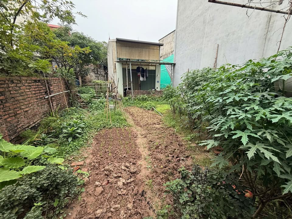 Đất Phúc Lợi Long Biên 30m² giá 4.2 tỷ - Cơ hội đầu tư tuyệt vời!