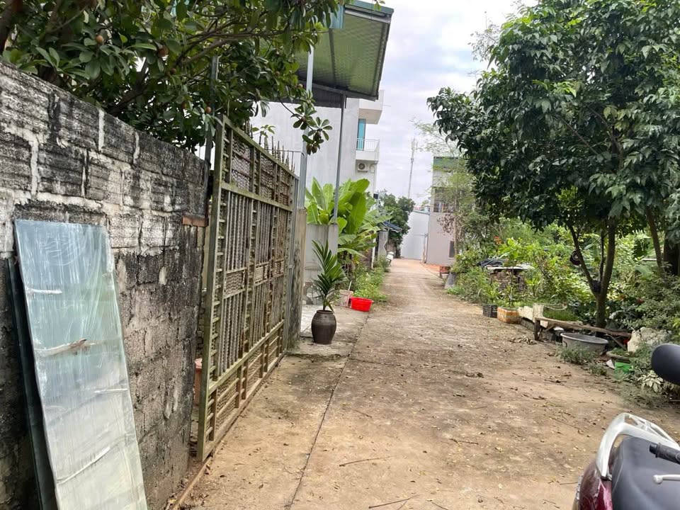 Đất nền Phan Thiết Tuyên Quang 160m² giá 3 tỷ - Đầu tư sinh lời ngay!