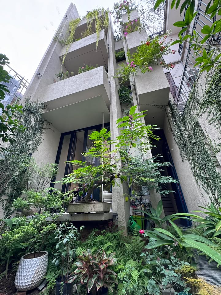 Biệt thự sân vườn mini Nguyễn An Ninh, Hoàng Mai 77m² - Thiết kế Nhật Bản sang trọng!