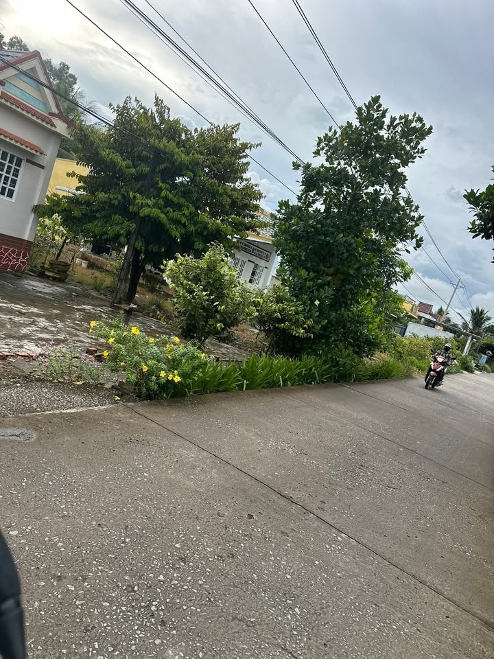 Đất nền ấp Long Hòa, xã Phước Long, Bạc Liêu 480m² giá 480 triệu - Cơ hội đầu tư hấp dẫn!