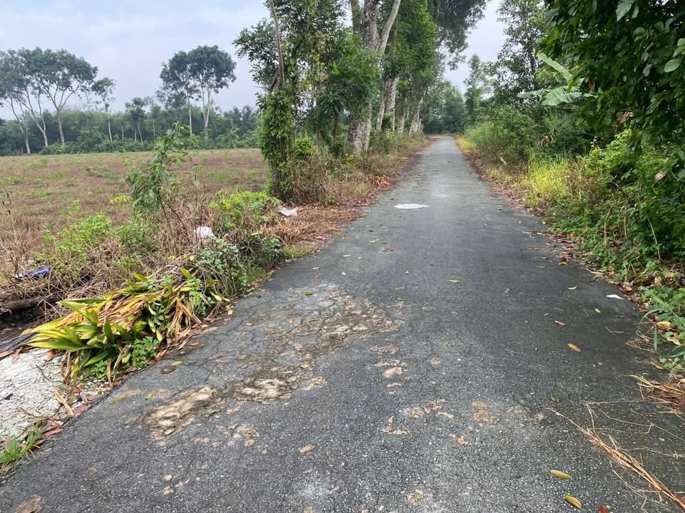 Nhà phố Thái Mỹ Củ Chi 148m² giá 3 tỷ - Dọn vào ở ngay!