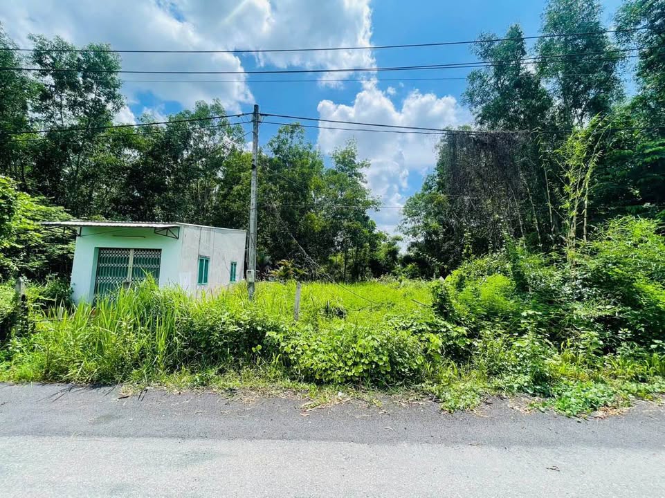 Đất nền Phú Hòa Đông Củ Chi 192m² giá 3 tỷ - Cơ hội đầu tư sinh lời!