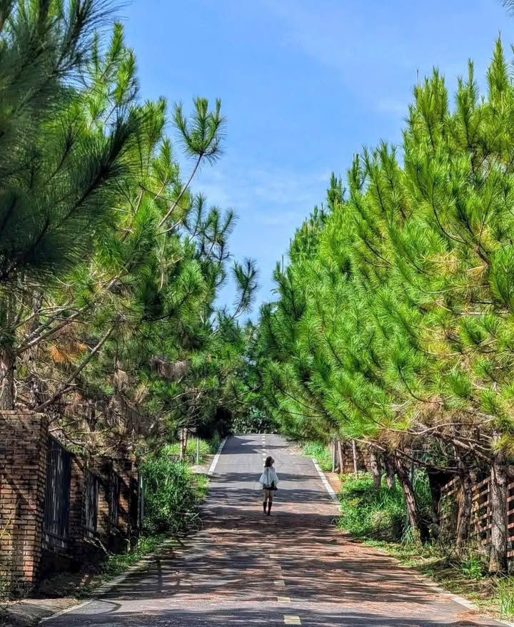 Nhà phố Hẻm 54 Hải Thượng Lãng Ông, Quận 5, 234m² giá 2.85 tỷ - Khu vực trung tâm sầm uất!