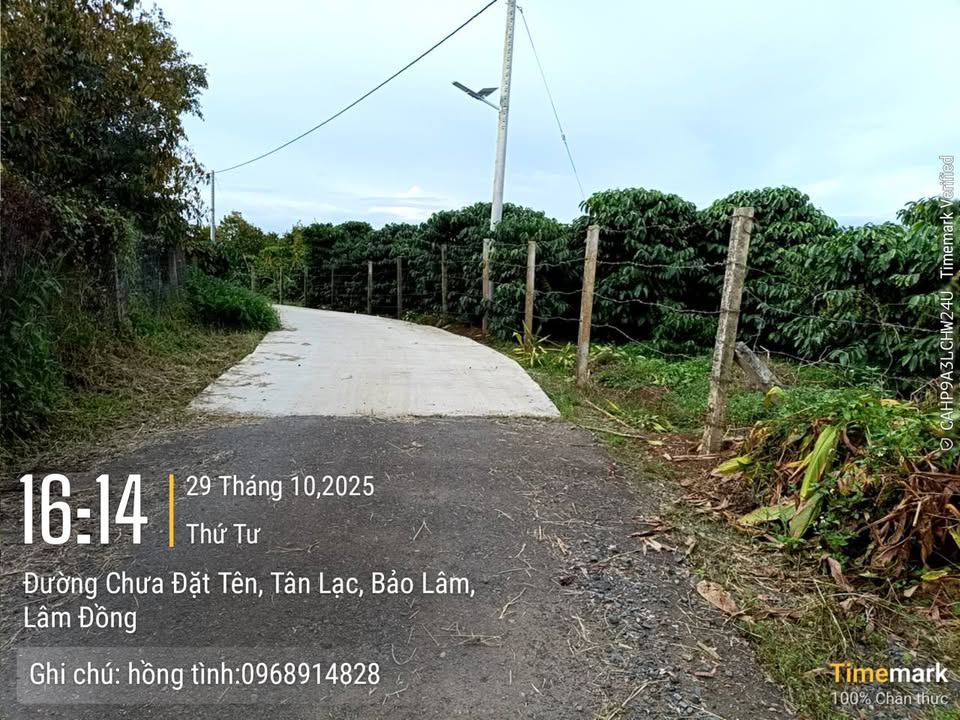 Lô đất thổ cư 135m² tại hẻm Âu Cơ, Tân Bình - Giá chỉ 499 triệu!