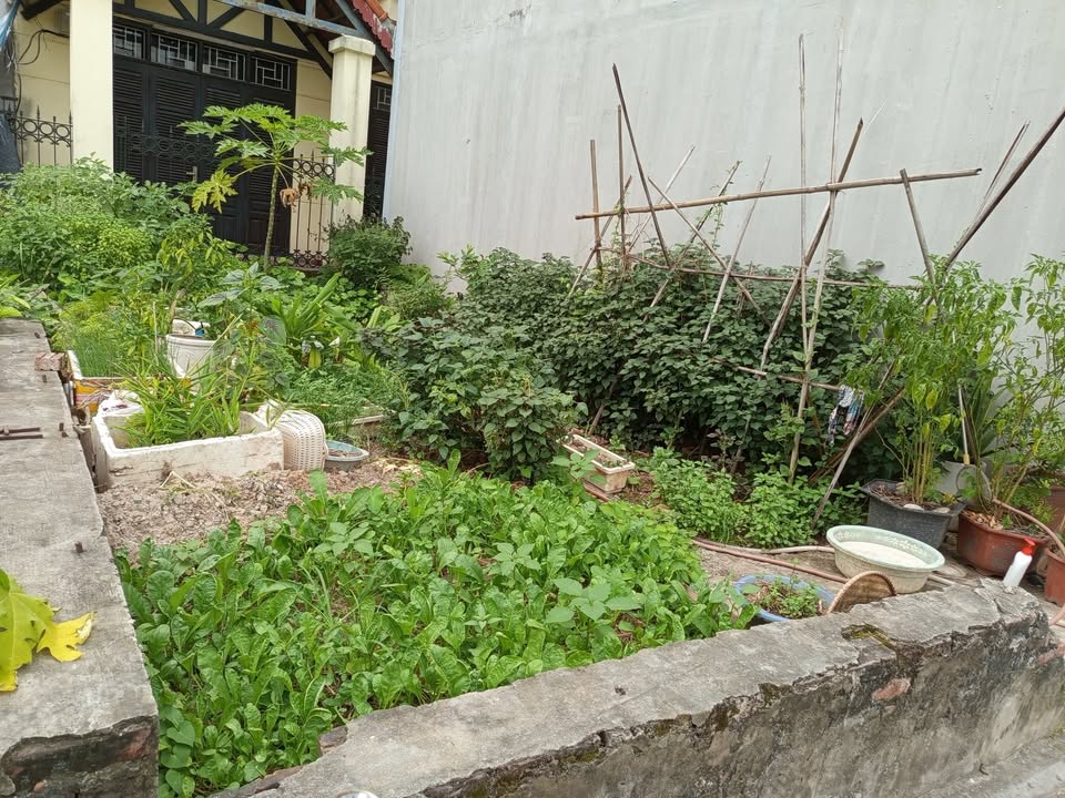 Đất nền Đa Tốn, Gia Lâm 48m² - Vị trí vàng, pháp lý chuẩn!