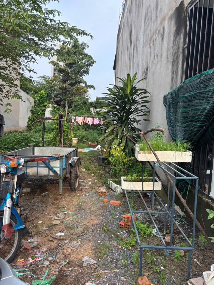 Đất Tân Kiên 88m² giá chỉ 3 tỷ - Hẻm xe hơi, xây dựng tự do!