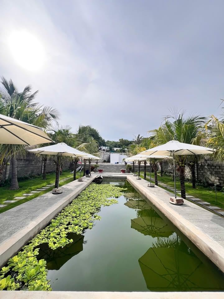 Homestay đường Trần Lê nối dài, Phan Thiết 1167m² giá 16 tỷ - Cơ hội đầu tư hấp dẫn!