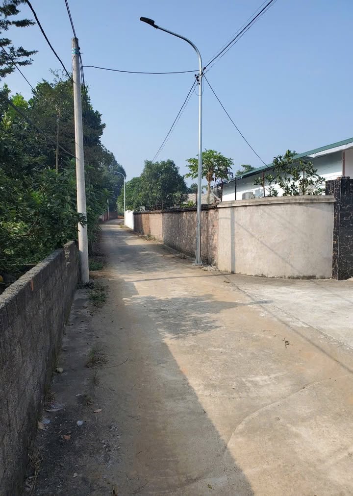 Đất nền Cổ Đông, Sơn Tây 800m² giá 10 tỷ - Đất đẹp, sẵn nhà cấp 4!