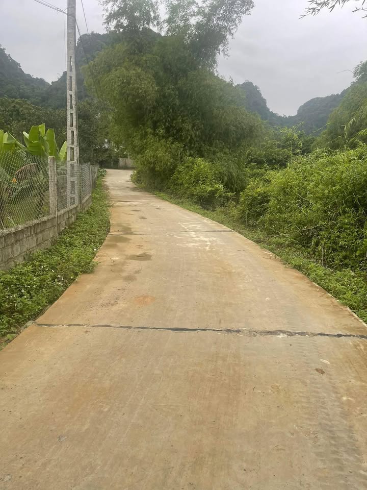 Lô đất 117m² tại Phú Thành, Lạc Thủy chỉ 300 triệu - Chính chủ bán gấp!