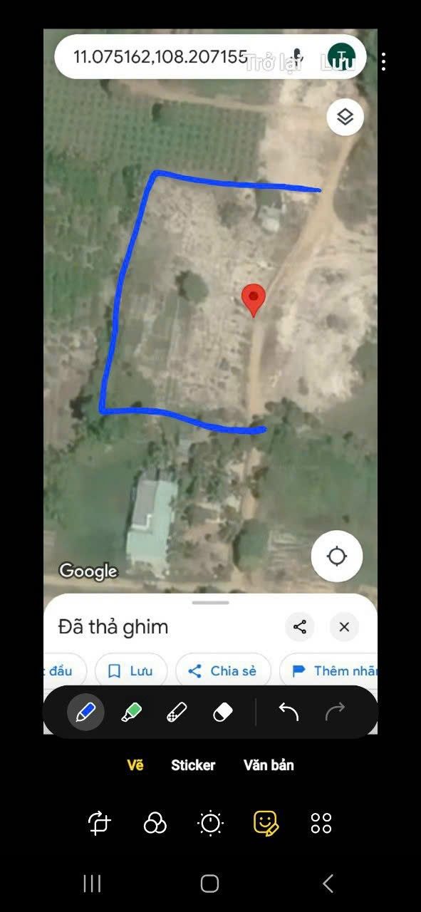 Đất nền Hồng Sơn Hàm Thuận Bắc 9000m² giá 650 triệu - Cơ hội đầu tư sinh lời ngay!