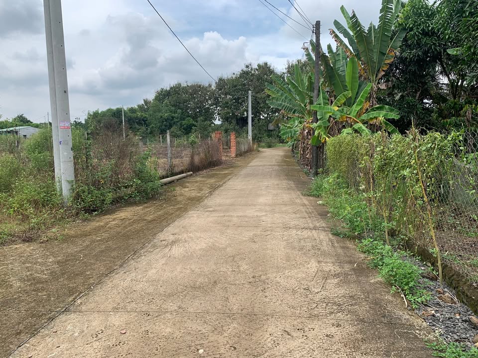 Đất thổ cư KP6 Vĩnh An 400m² giá chỉ 900 triệu - Cơ hội đầu tư hấp dẫn!