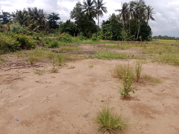 Đất nền Tân Long Hội 115m² giá 220 triệu - Sổ hồng chính chủ, xe ô tô vào tận nơi!