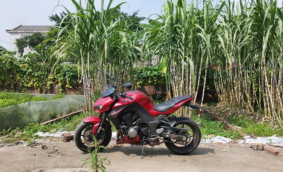 Đất nền Xuân Nộn Đông Anh 45m² giá thỏa thuận - Lô đẹp phong thủy nở hậu!