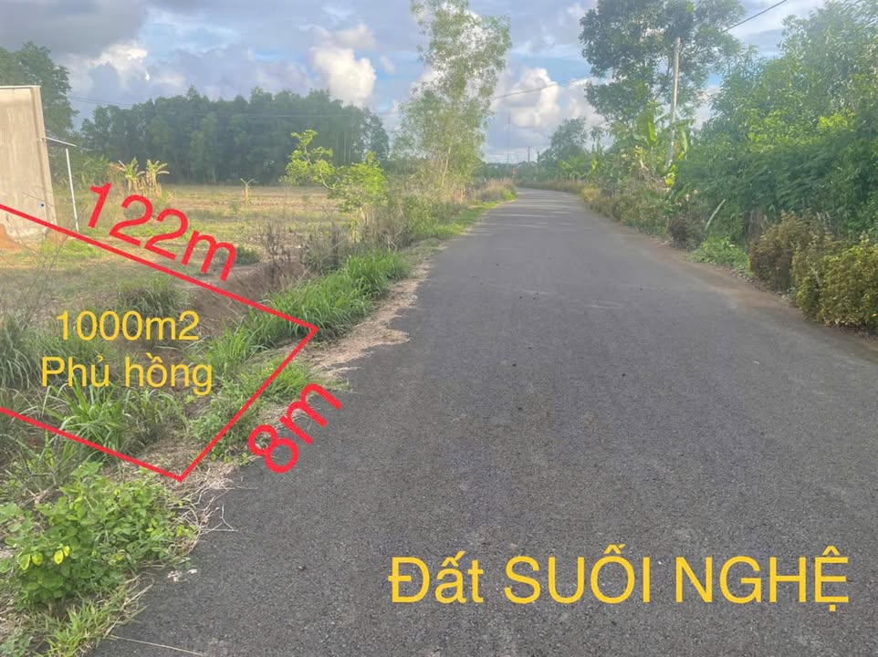 Đất nền Suối Nghệ Châu Đức 1.35 tỷ - Đầu tư sinh lời ngay