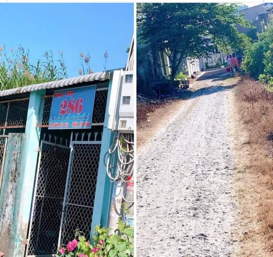 Đất nền Hòa Lợi Trà Vinh 125m² giá 550 triệu - Vị trí thuận lợi gần đại học!