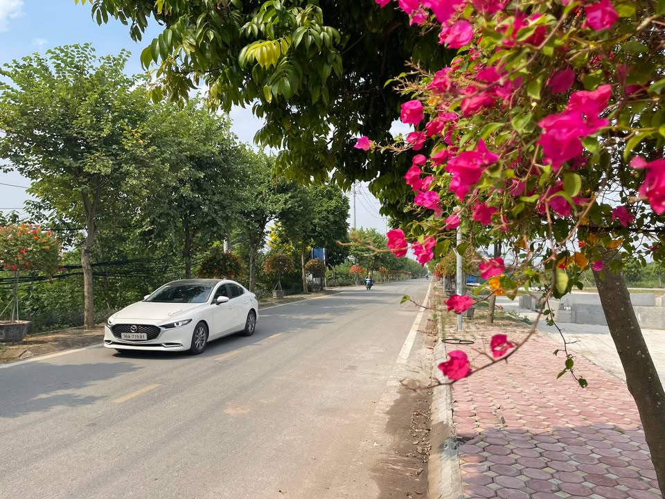 Nhà bán Yên Mỹ, Thanh Trì 40m² giá 4.35 tỷ - Không gian sống lý tưởng!