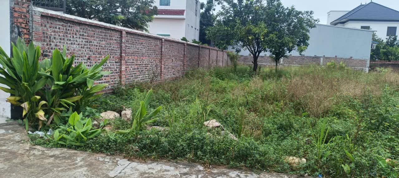 Đất nền Hương Mai, Việt Yên 101m² - Cơ hội đầu tư dưới 1 tỷ!