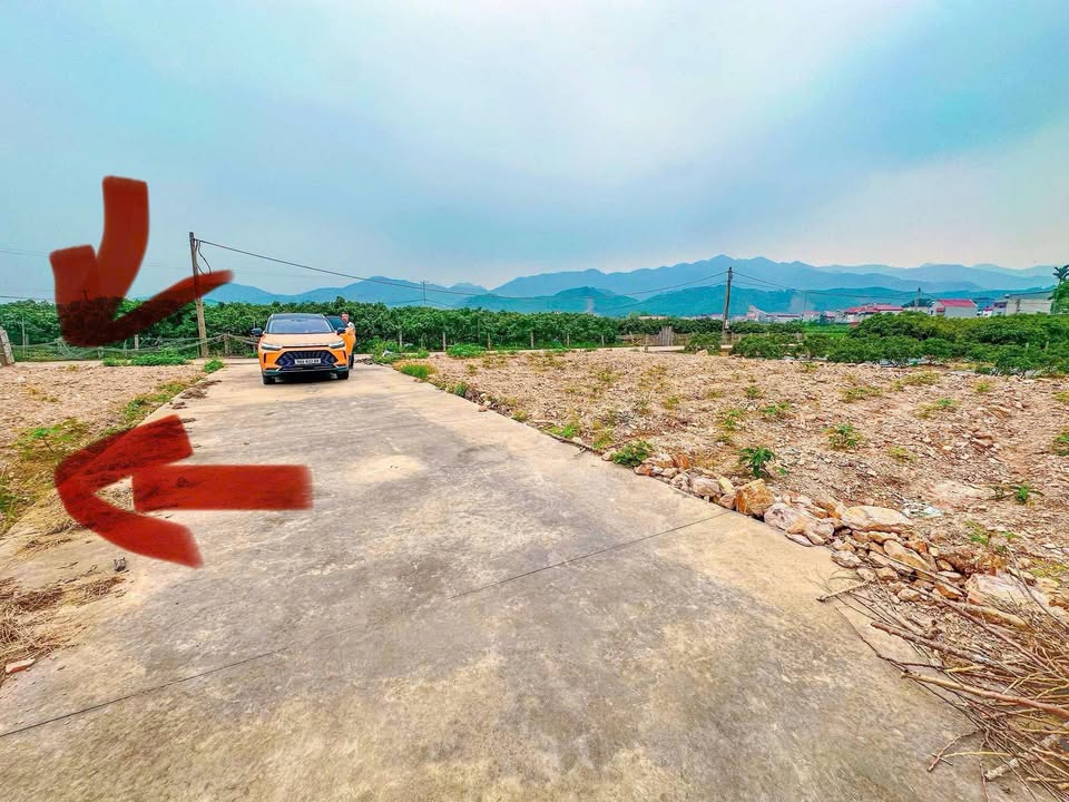 Đất thổ cư Nghĩa Phương Lục Nam 100m² giá 100 triệu - Đường lớn ô tô tránh nhau!