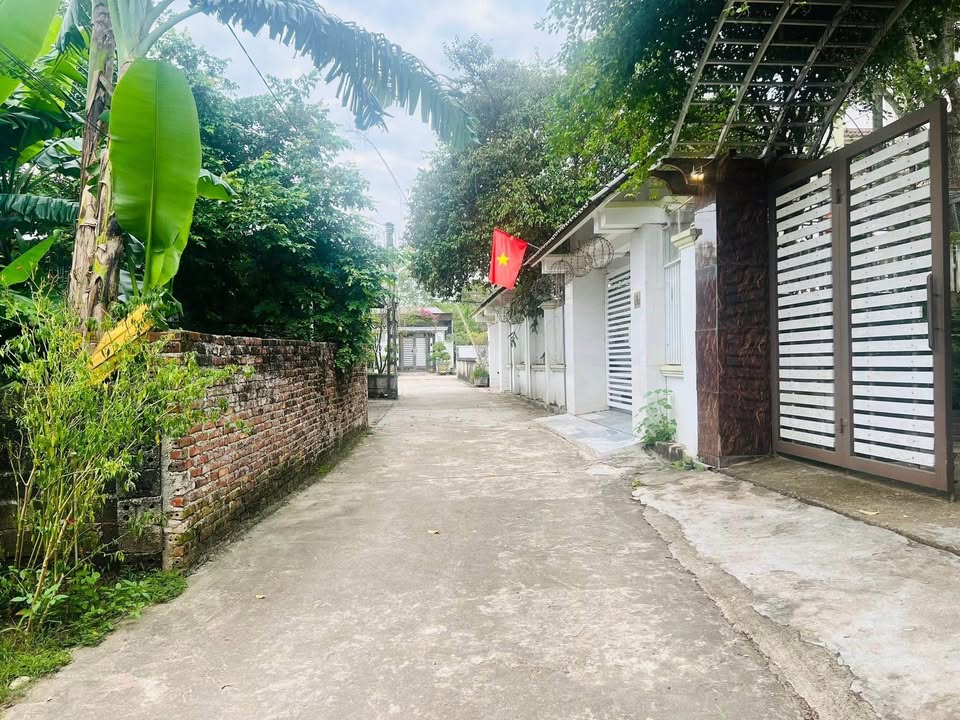 Đất thổ cư 727m² tại Long Sơn, Thái Hòa - Vị trí đẹp, đầu tư sinh lời!