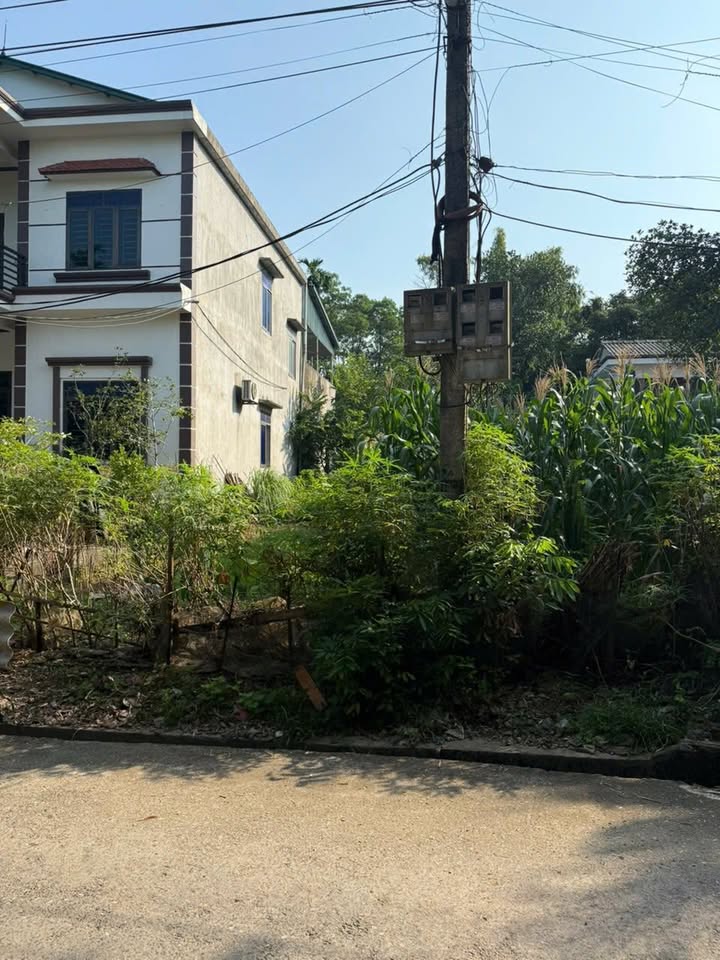 Đất nền Khu 9, xã Hanh Cù, Thanh Ba 157m² chỉ 700 triệu - Cơ hội đầu tư tuyệt vời!