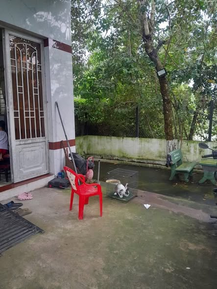 Nhà đất Phước Lý, Cần Giuộc 170m² giá 1.16 tỷ - Cơ hội sở hữu ngay!