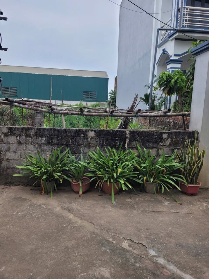 Đất nền Nội Thôn, Vân Tảo, Thường Tín 76m² giá 4.25 tỷ - Đường ô tô vào tận nơi!