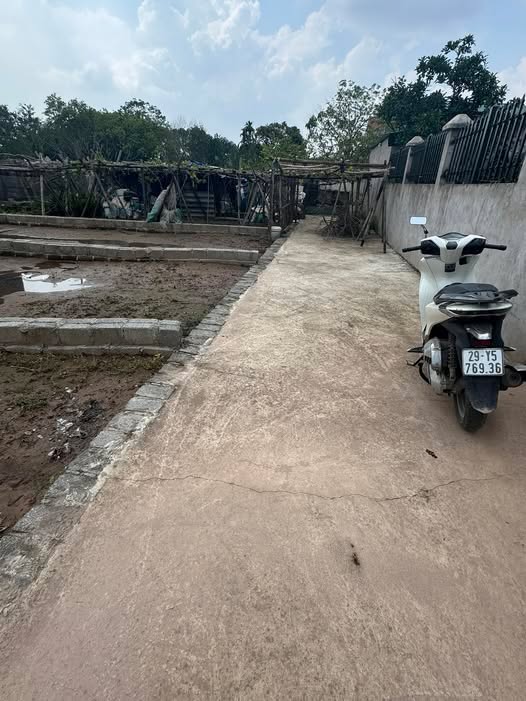 Đất nền Tự Nhiên, Thường Tín 43.5m² giá 1.88 tỷ - Cắt lỗ giá sốc!