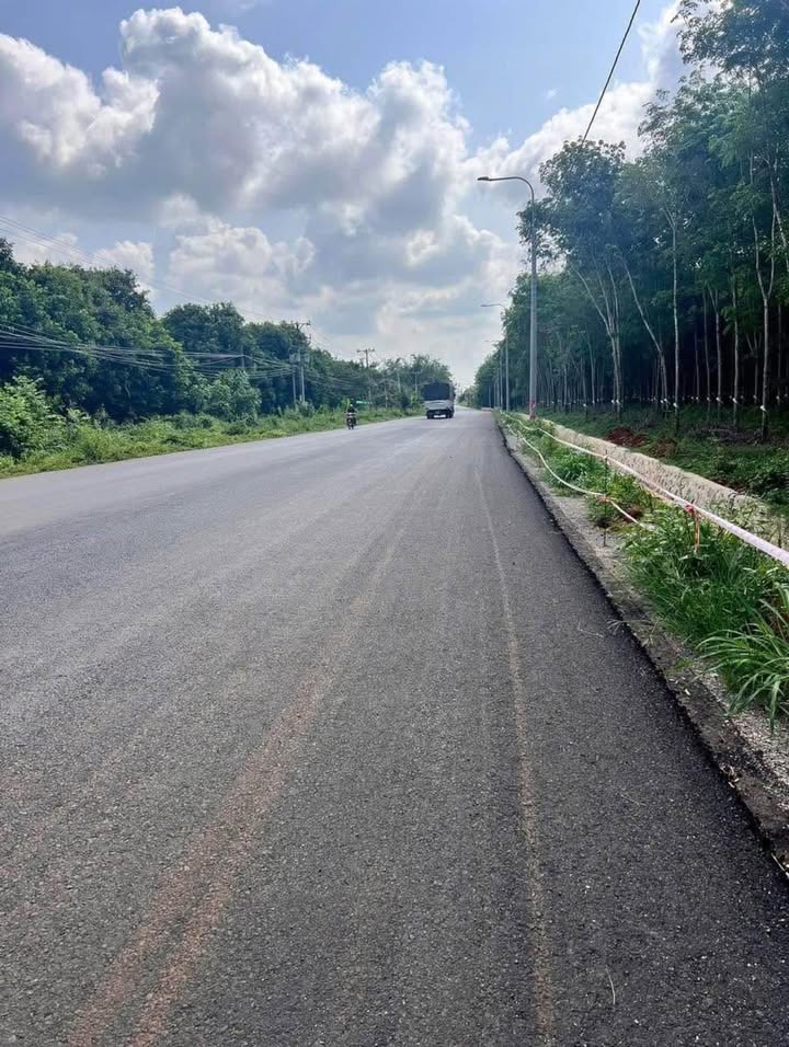 Đất Lạc Sơn 1000m² giá 1.3 tỷ - Sổ đỏ chính chủ, mặt tiền lớn!