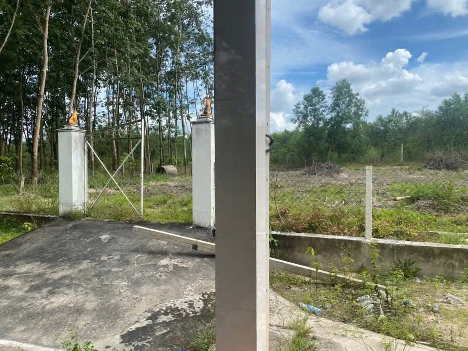 Đất nền Định An Dầu Tiếng 7000m² giá chỉ 2 tỷ - Cơ hội đầu tư tuyệt vời!