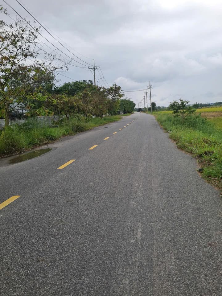 Đất nền mặt tiền Võ Văn Điều, xã Phước Thạnh, 876m² - Đầu tư sinh lời cực tốt!