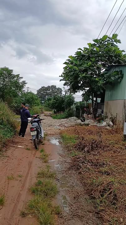 Đất thổ cư 264m² tại đường Quy hoạch số 10, Đắk Hà - Giá chỉ 400 triệu!