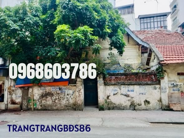 Đất thổ cư 225.3m² tại Yên Ninh, Ba Đình - Vị trí vàng, giá thỏa thuận!