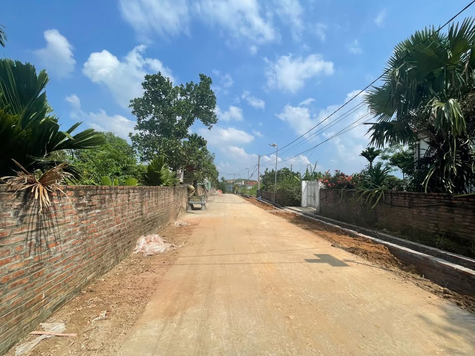 Đất thổ cư 619m² đường Phượng Mao, Thanh Thủy giá chỉ 2 tỷ - Mặt tiền rộng, giao thông thuận lợi!