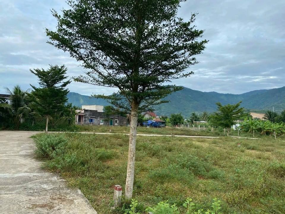 Đất thổ cư Suối Tiên Diên Khánh 160m² giá 990 triệu - Hướng Đông, tách được 2 lô!