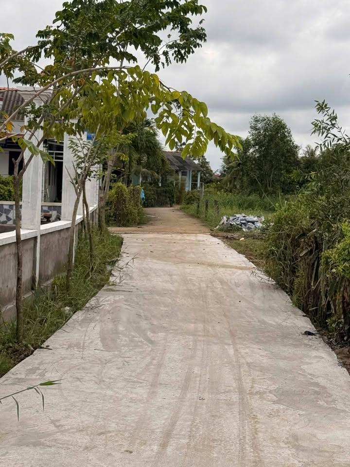 Đất lúa 3200m² tại Thuận Mỹ, Cần Đước - Gần bến đò Bà Nhờ, giá chỉ 950 triệu!