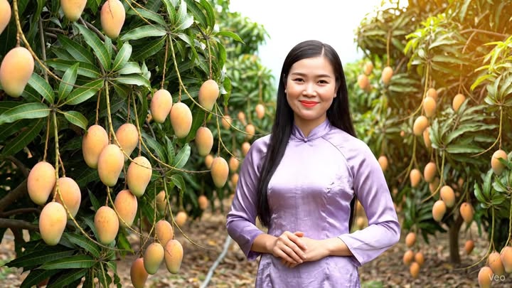 Đất vườn mặt tiền Quốc lộ 80, xã Hòn Đất, 110.000m² giá 10 tỷ - Cơ hội đầu tư sinh lời!