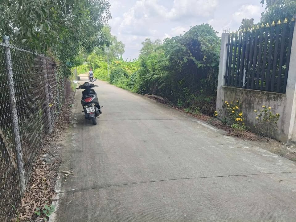 Đất vườn 1430m² Tân Quý Tây, Bình Chánh - Giá chỉ 6.7 tỷ, sổ hồng chính chủ!