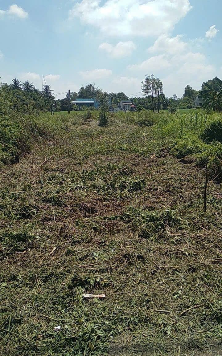 Đất thổ cư 112m² tại Ấp Chùa, Mỹ Lệ, Cần Đước - Giá chỉ 970 triệu!