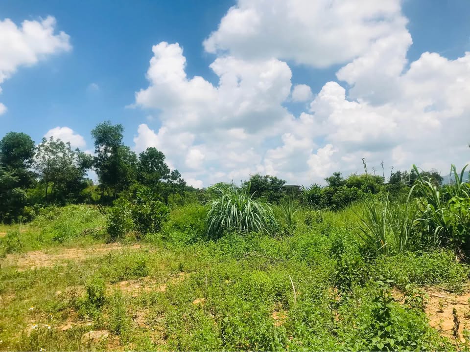 Đất nền Cư Yên Lương Sơn 4672m² giá chỉ 2 triệu/m² - Cơ hội đầu tư hấp dẫn!