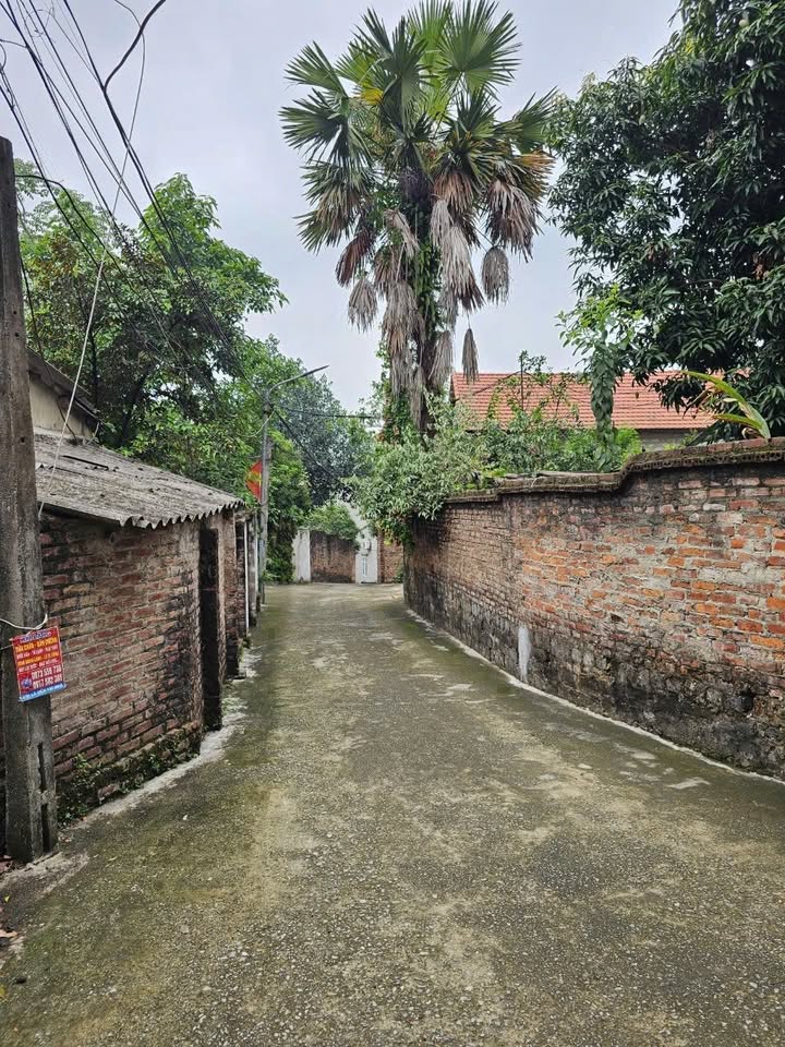 Đất phân lô Thanh Miếu, Việt Trì 60m² giá 1.7 tỷ - Đường ô tô đỗ cửa