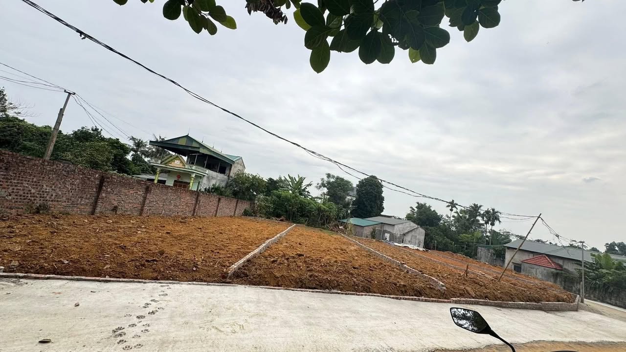 Đất thổ cư 100m² tại Hoà Phong, Lập Thạch chỉ từ 600 triệu - Cơ hội đầu tư tuyệt vời!