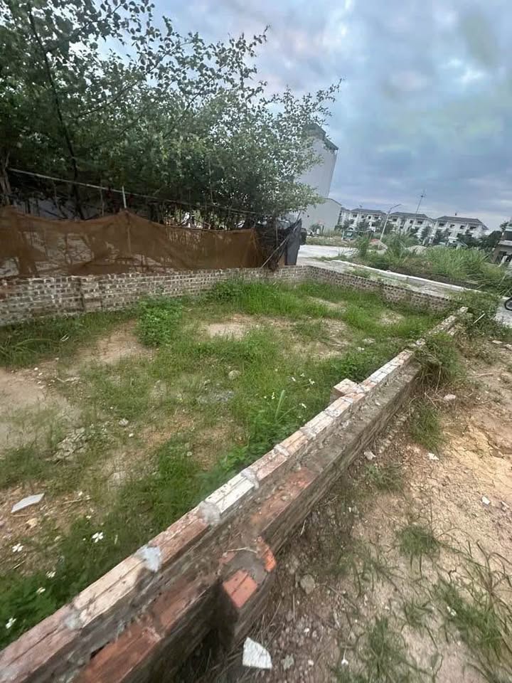 Đất dịch vụ Vân Canh 50m² giá 9.9 tỷ - Sổ đỏ chính chủ, hạ tầng đồng bộ!